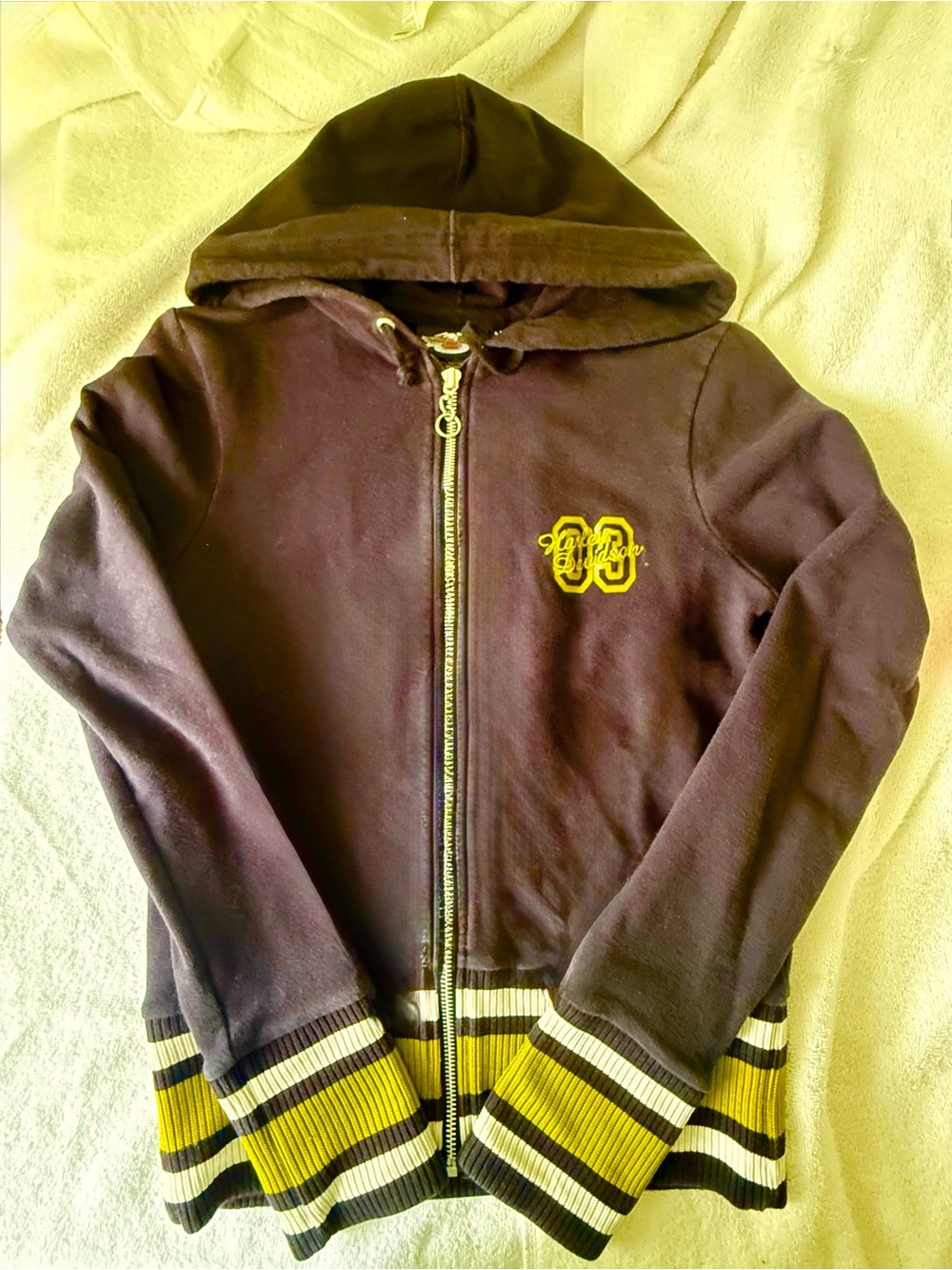 Harley Davidson Hooded Zip Sweatshirt in black with green Accents
